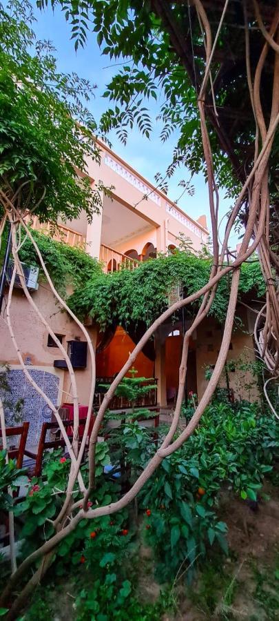 Oasis De Tiout Apartment ภายนอก รูปภาพ