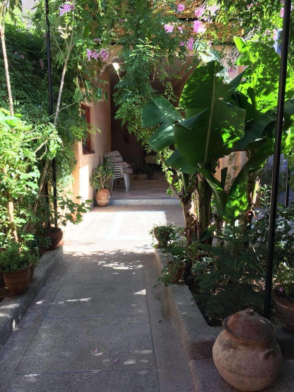 Oasis De Tiout Apartment ภายนอก รูปภาพ